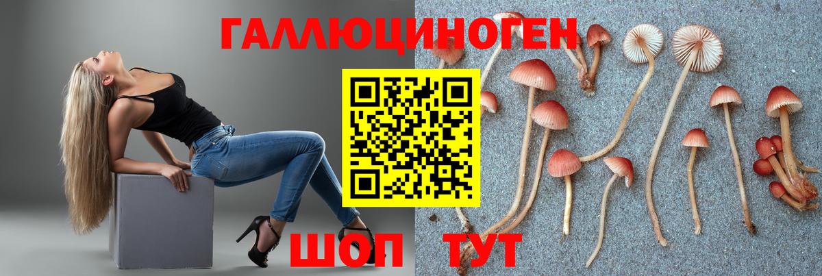Псилоцибиновые грибы ЛСД Кировск