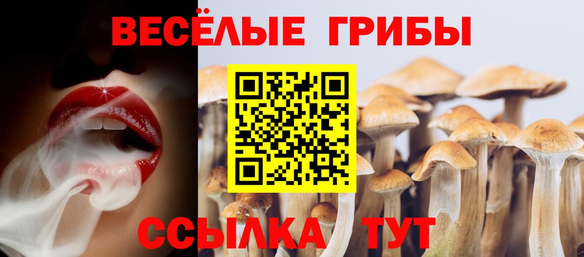 МАРИХУАНА  COCAIN  МДМА  Кировск  Вход с VPN  ГАШ  НБОМе  Мефедрон кристаллы  Амфетамин  
